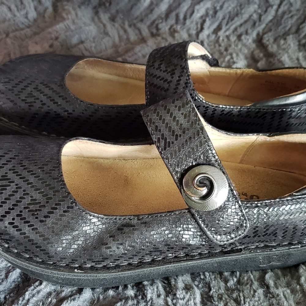 Allegria - Paloma (Black Dazzler)